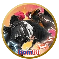 bom88