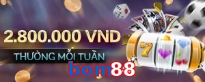bom88