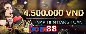 bom88