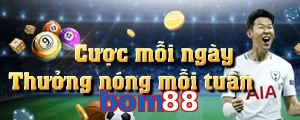 bom88
